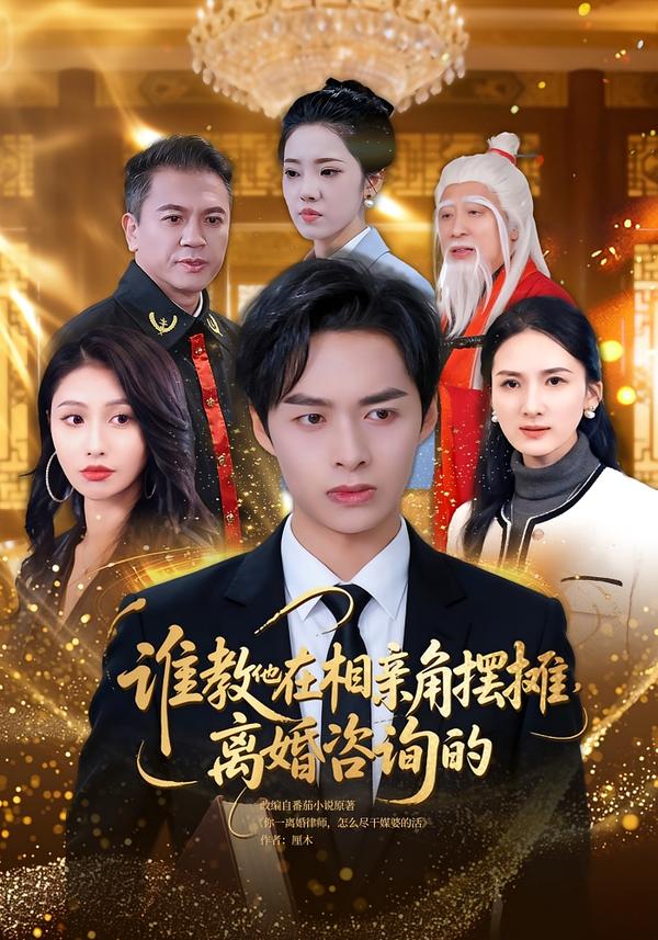 谁教他在相亲角摆摊离婚咨询的第09集