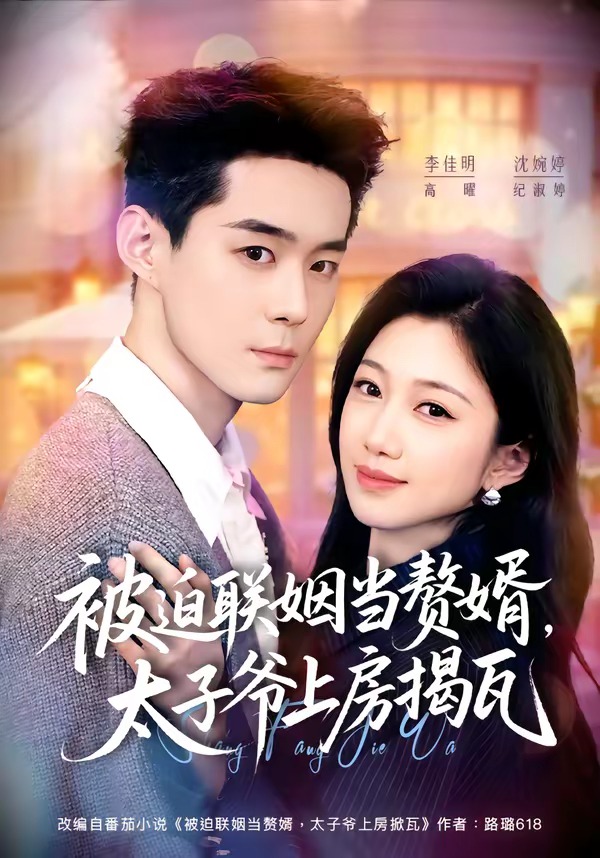 被迫联姻当赘婿，太子爷上房揭瓦(全集)