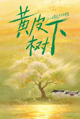 黄皮树下