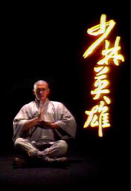 少林英雄王伟版国语第02集