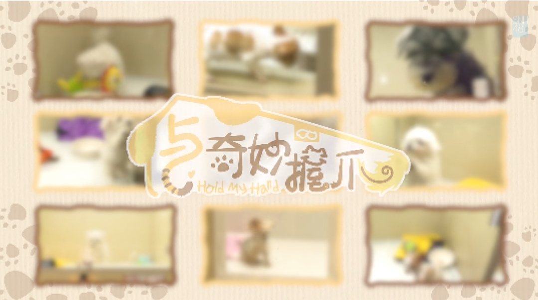 与奇妙握爪第01集