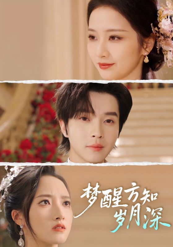 梦醒方知岁月深(全集)