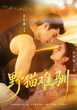 野猫难驯(全集)